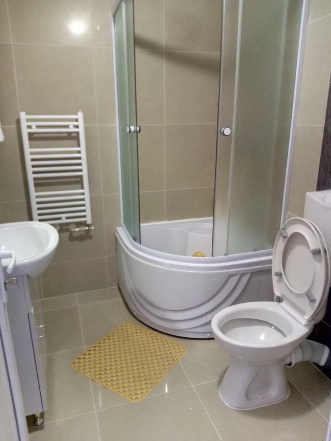 Camere De Inchiriat Carpati Хунедоара Экстерьер фото